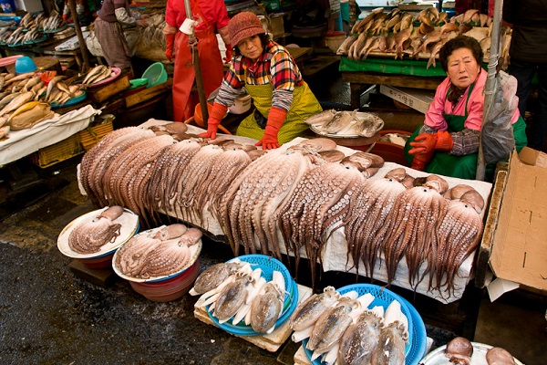 Chợ cá Jakgalchi nổi tiếng ở Busan
